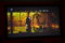 Stewart Filmscreen 100" Firehawk G3 Luxus Deluxe Screen... 2