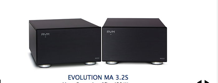 AVM Audio MA 3.25 A great mono block for its price point