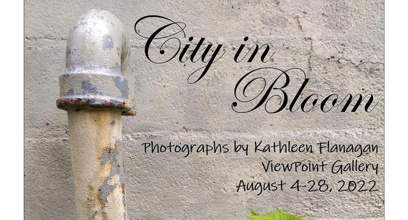 City in Bloom @ ViewPoint Gallery