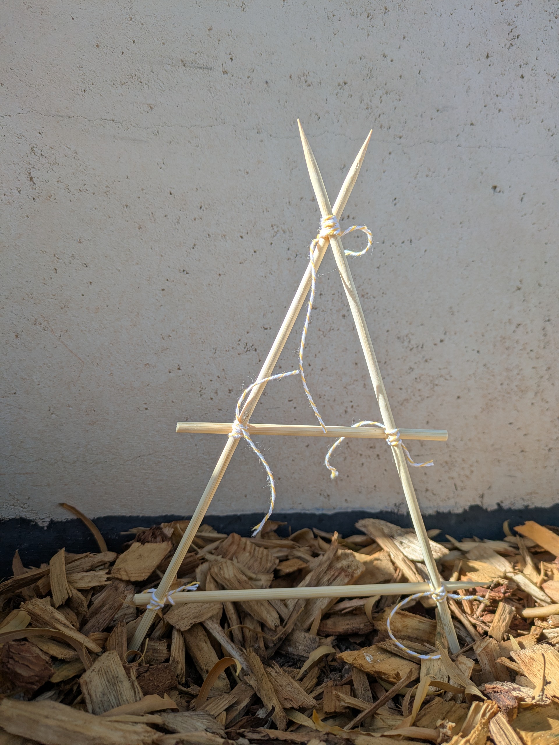 min &lsquo;A&rsquo; trellis