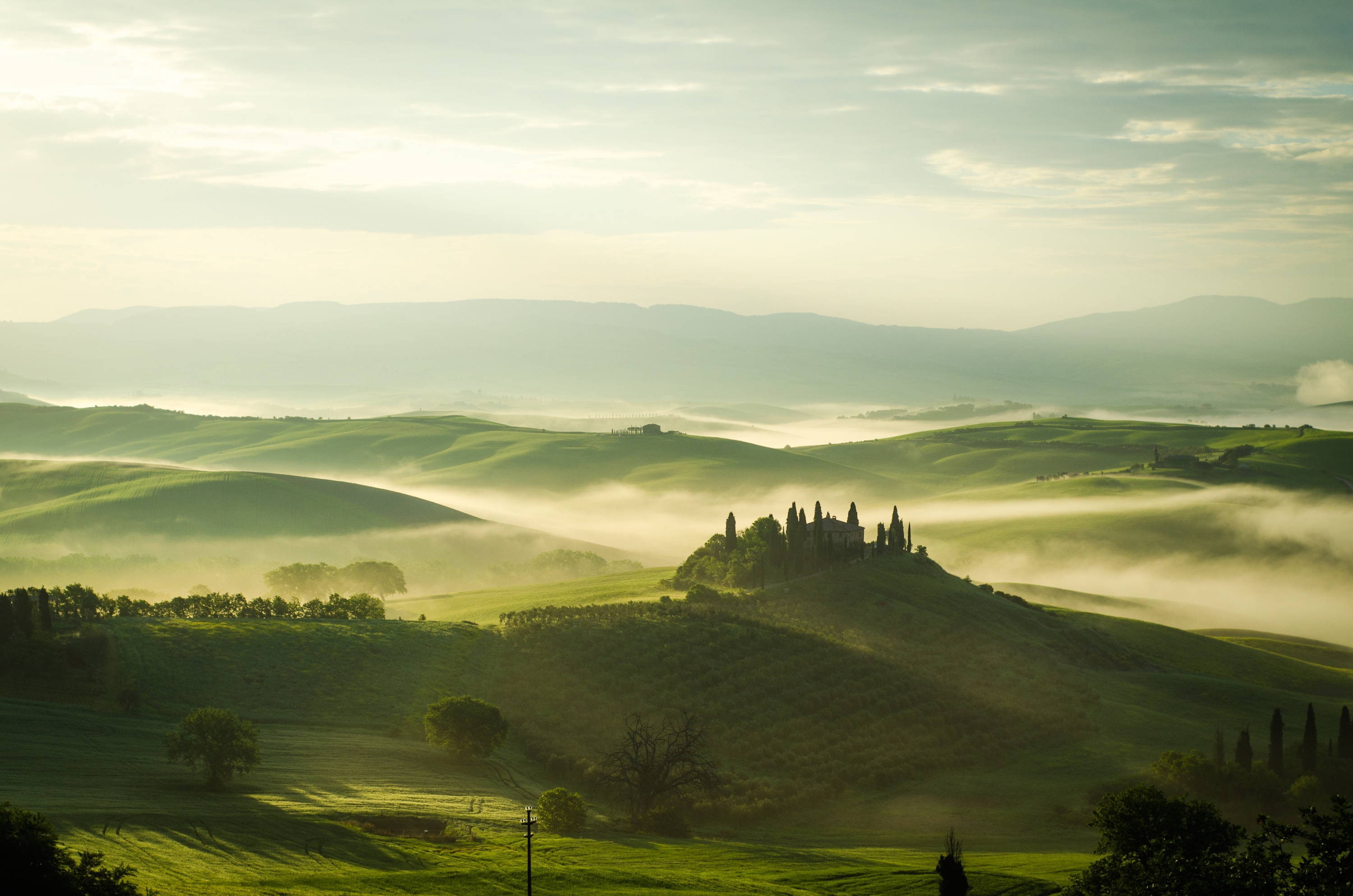 Perfect October fog conditions for growing Nebbiolo in a Northern Italy valley.