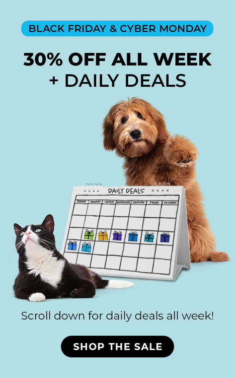 Dog black store friday deals