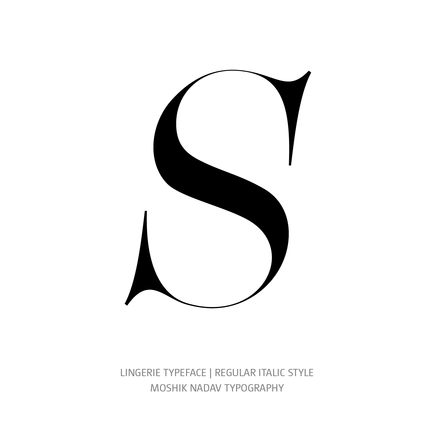 Lingerie Typeface Regular Italic S- Fashion fonts by Moshik Nadav Typography