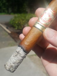 Cigar Session Photo