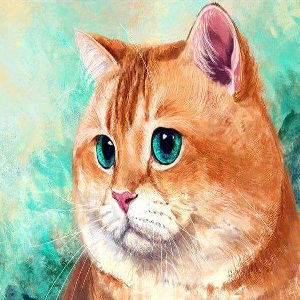 cats and kitties 5d diamond painting