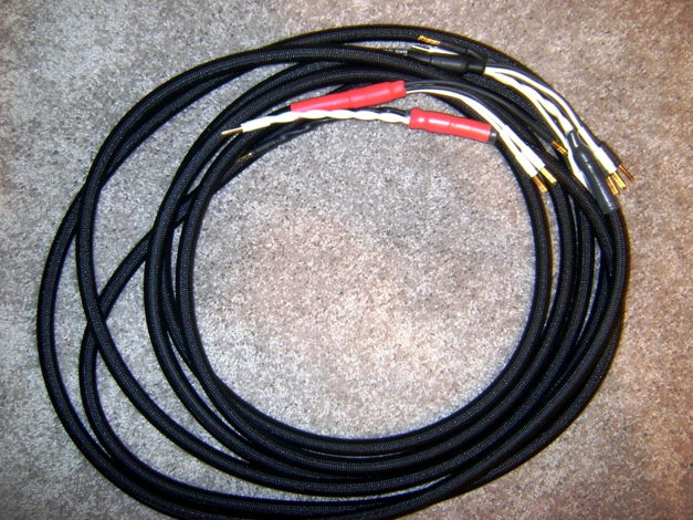 MAC CuQ  Speaker cable 13ft Bananas