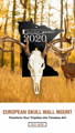 Transform your trophies into timeless art!