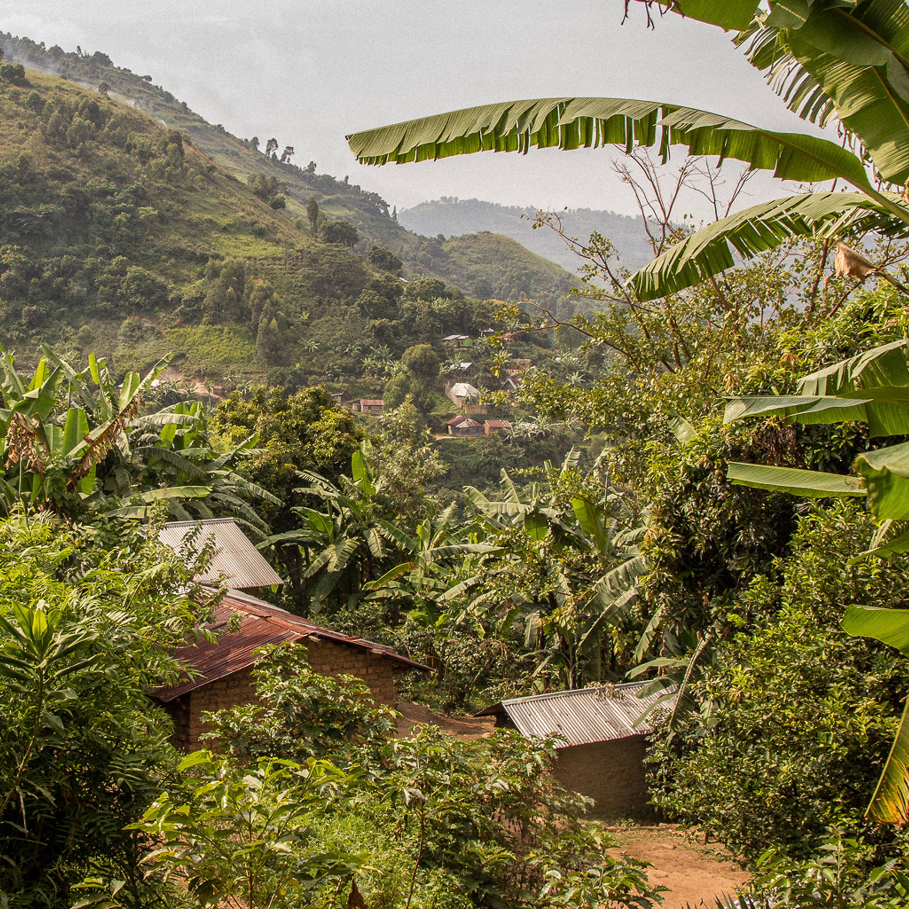 Congolese landscape  with river