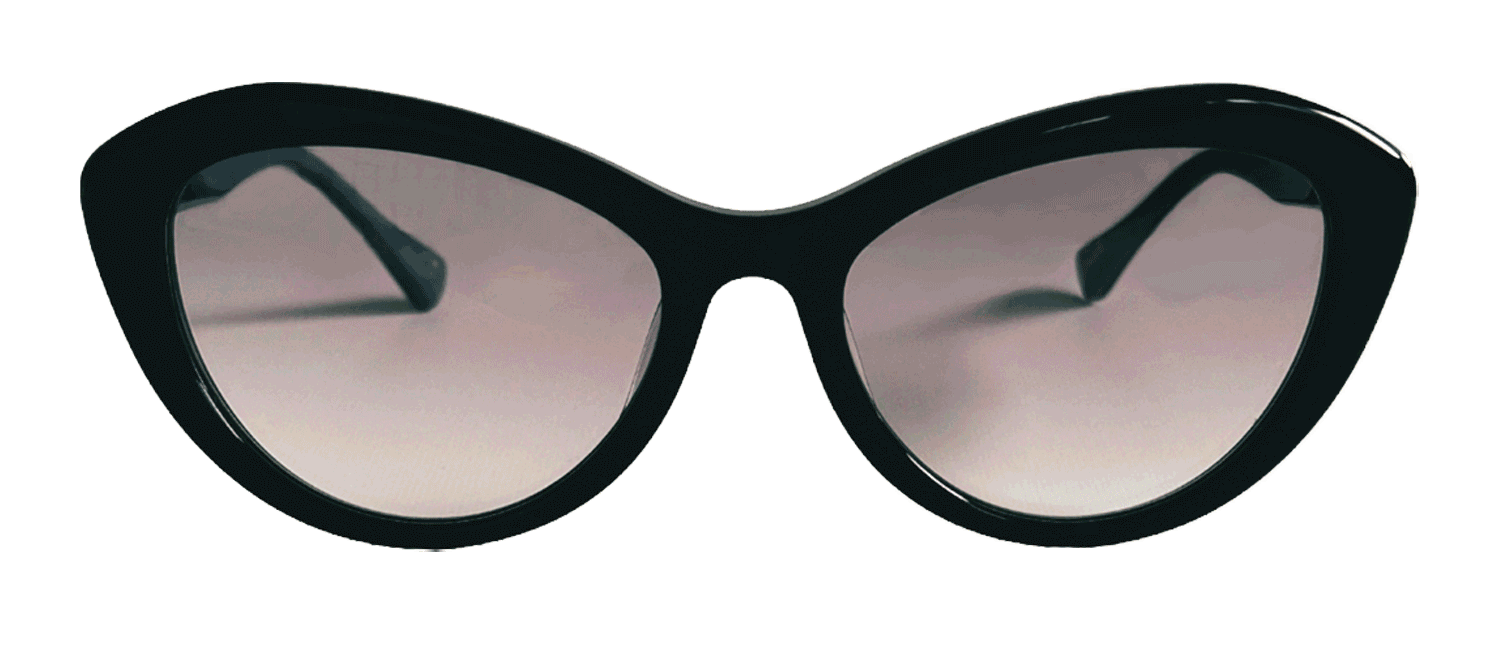 レディース✨売り切れ✨ありがとうございました♥アナスイ素敵なサングラス♥