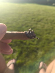 Cigar Session Photo