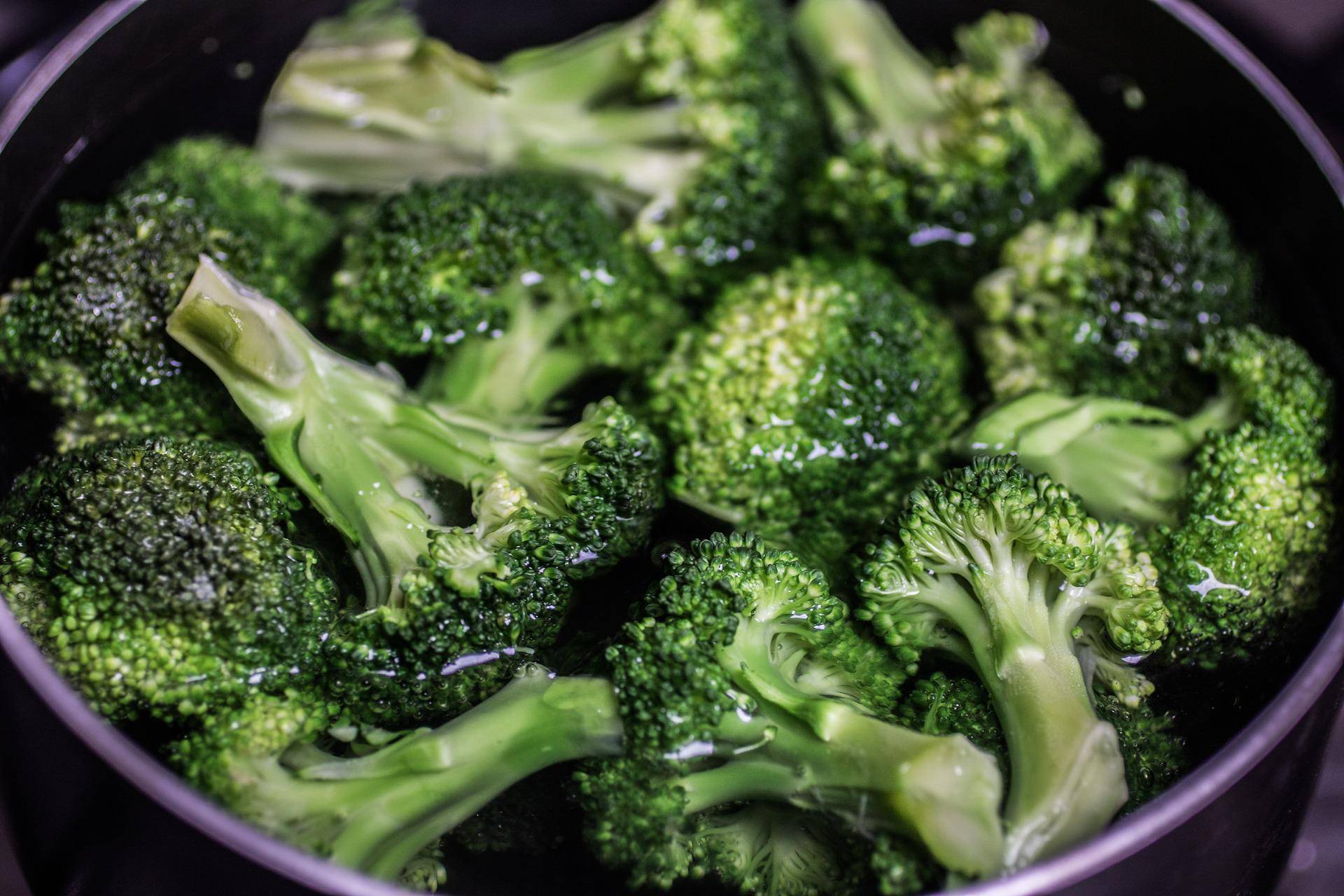 cooked broccolis for dogs