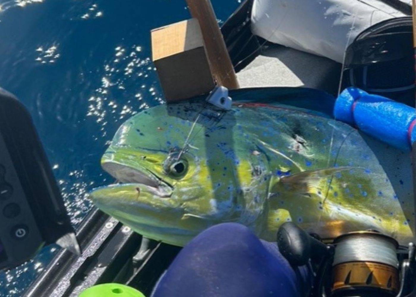 kayak offshore trolling lures
