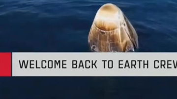 Main Content Image
