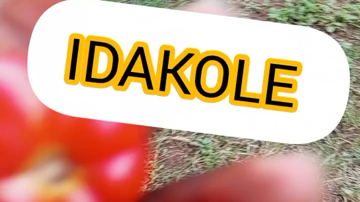 Main Content Image