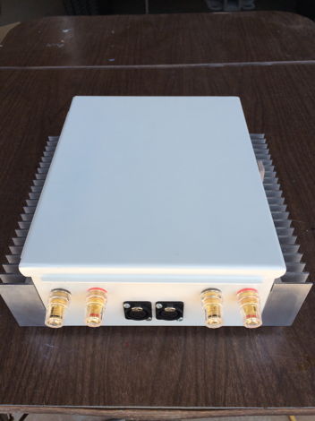 Nuerochrome Modulus - 86 Composite Amp