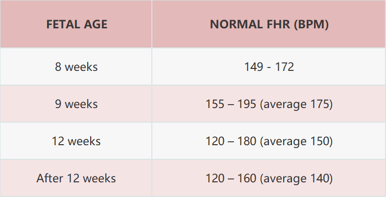 fetal heart rate by week, fetal age