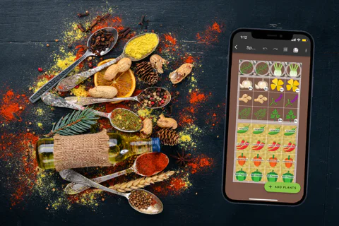 Plan Your Spice Garden