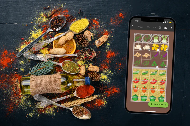 Spoons of colorful ground spices, peppercorns, and cloves scattered on a dark table beside a phone showing a Planter spice garden plan