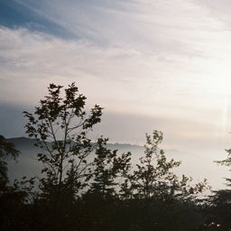 list image