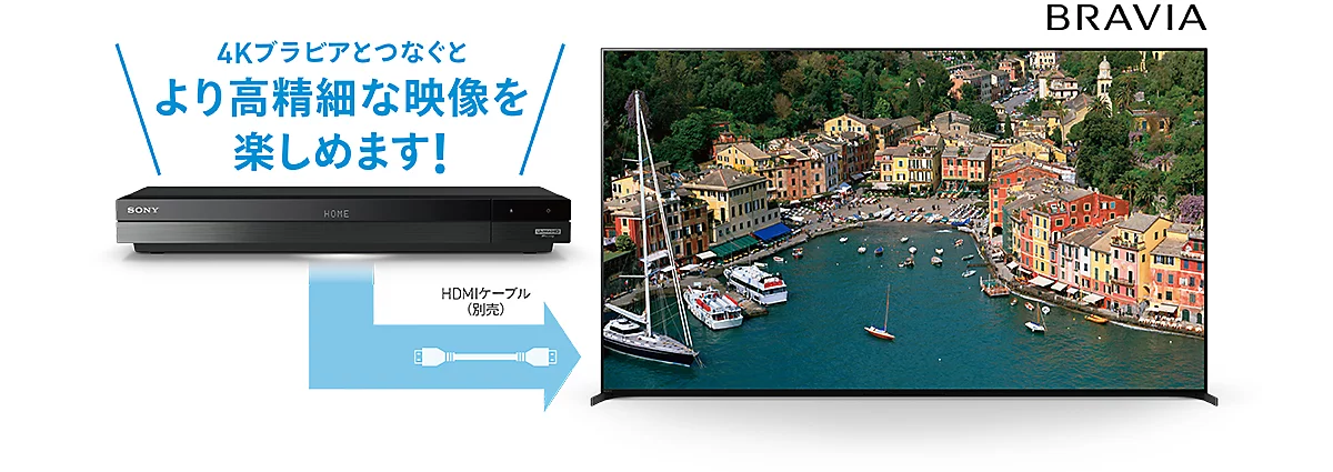 レンタル] ソニー 4Kチューナー内蔵Ultra HD ブルーレイ/DVD