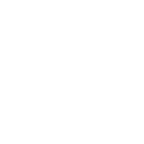 DWS ( Dimension Weight And Scanning )_icon