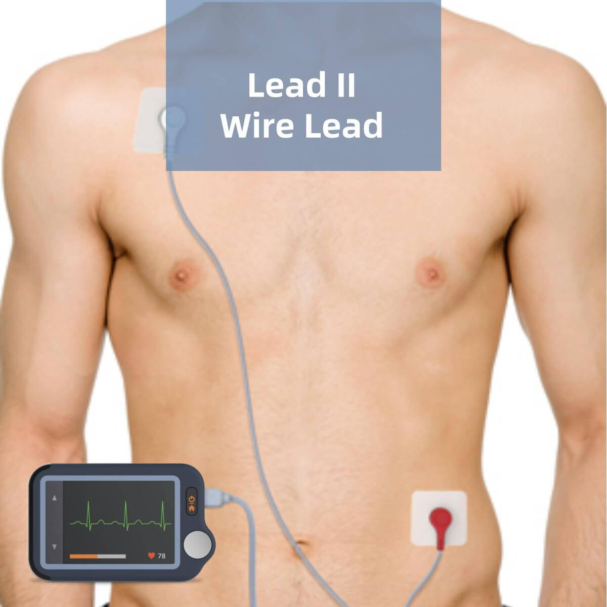 portable ECG monitor with touch screen
