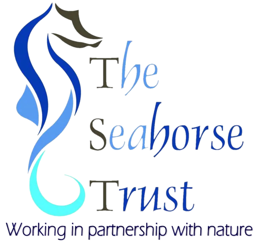 Seahorse Trust Logo