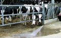 Vital Oxide Offers an EPA Registered Disinfectant Solution