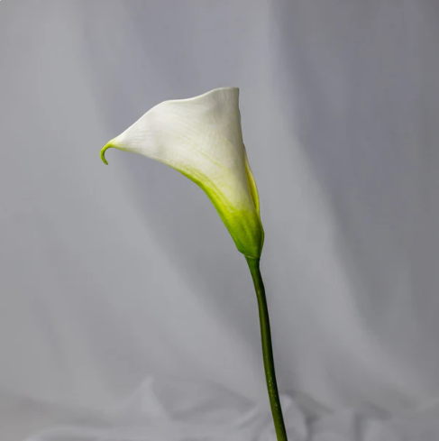 Soft Green Mini Calla Lily - Realistic Artificial Flowers - Image 3