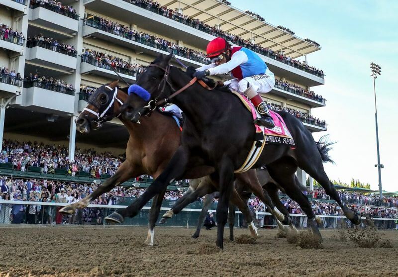 preakness stakes betting picks