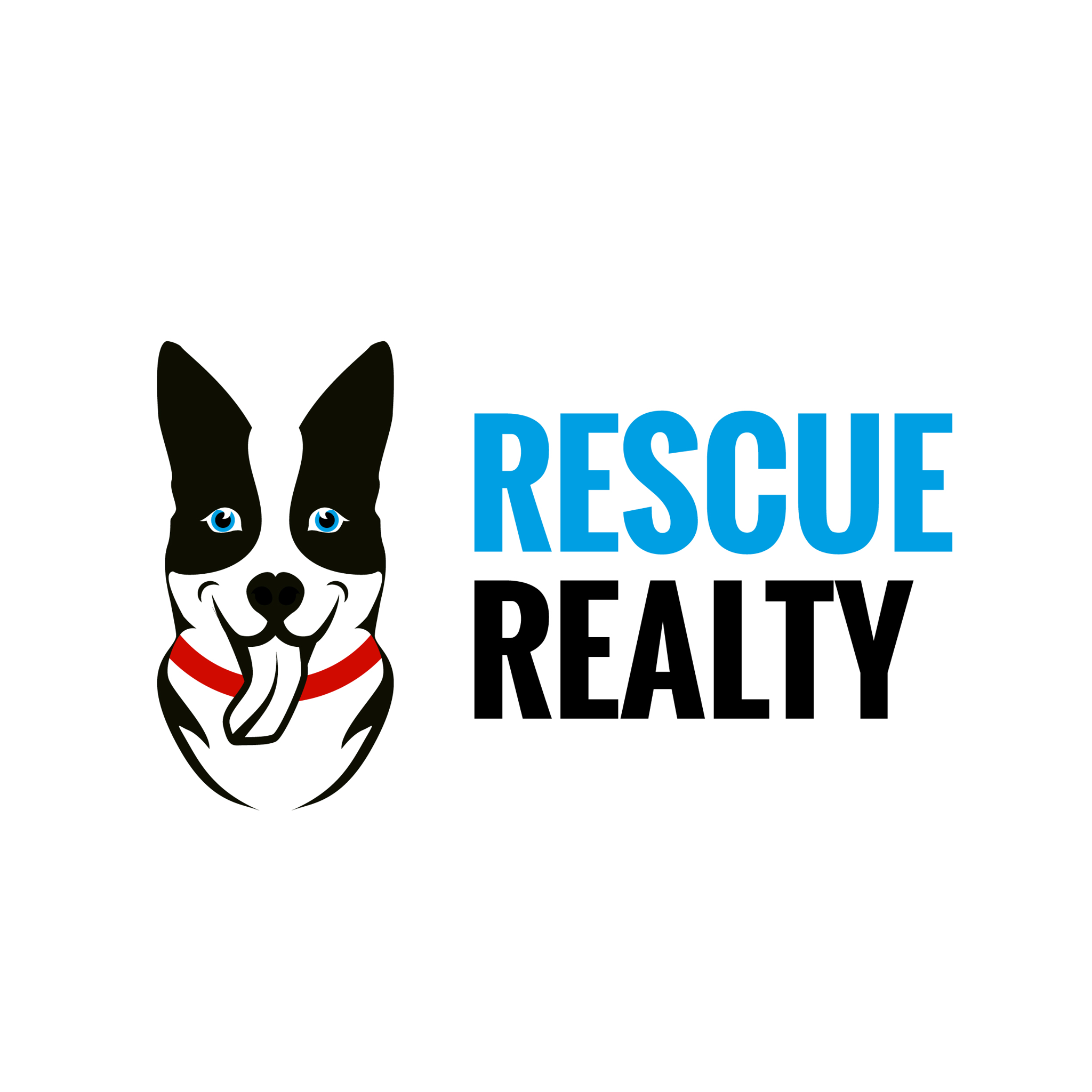 Rescue Realty LLC