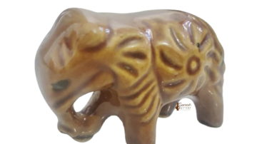 Main Content Image