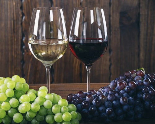 Cooking classes Viterbo: Wine tasting