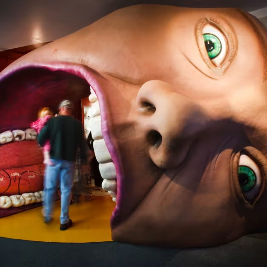 Main Content Image