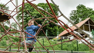 erlebnishoehe wald michelbach bilder dpi
