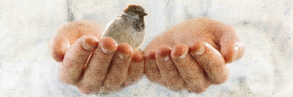 A small sparrow is perched in Christ's cupped hands.