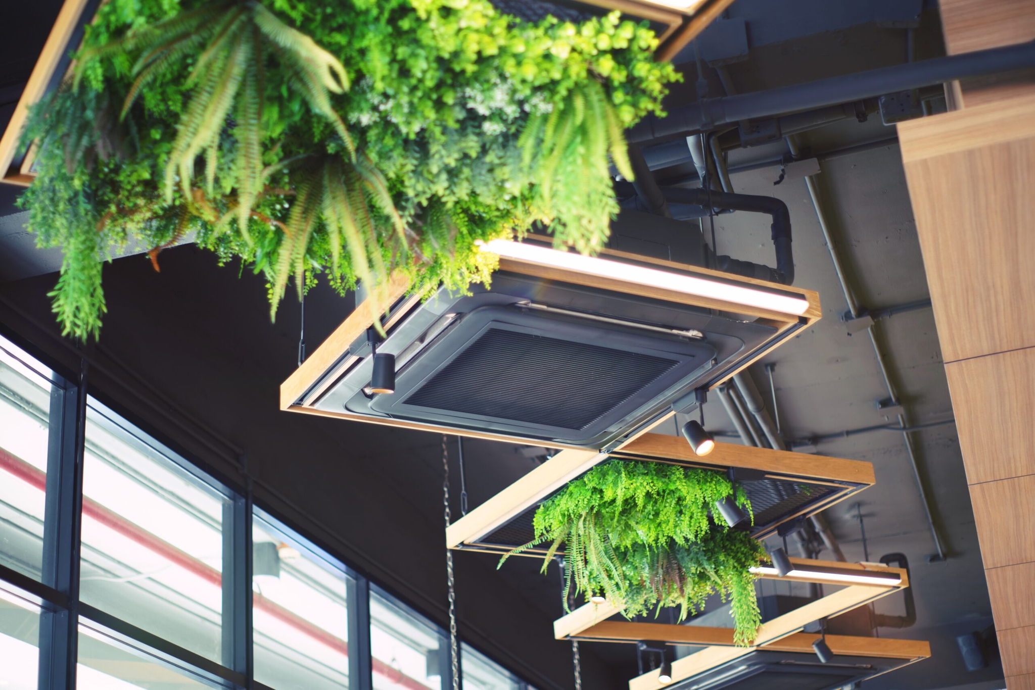 Hanging ceiling planters filled with lush green ferns and plants in wooden frames decorate a modern interior space with large windows.