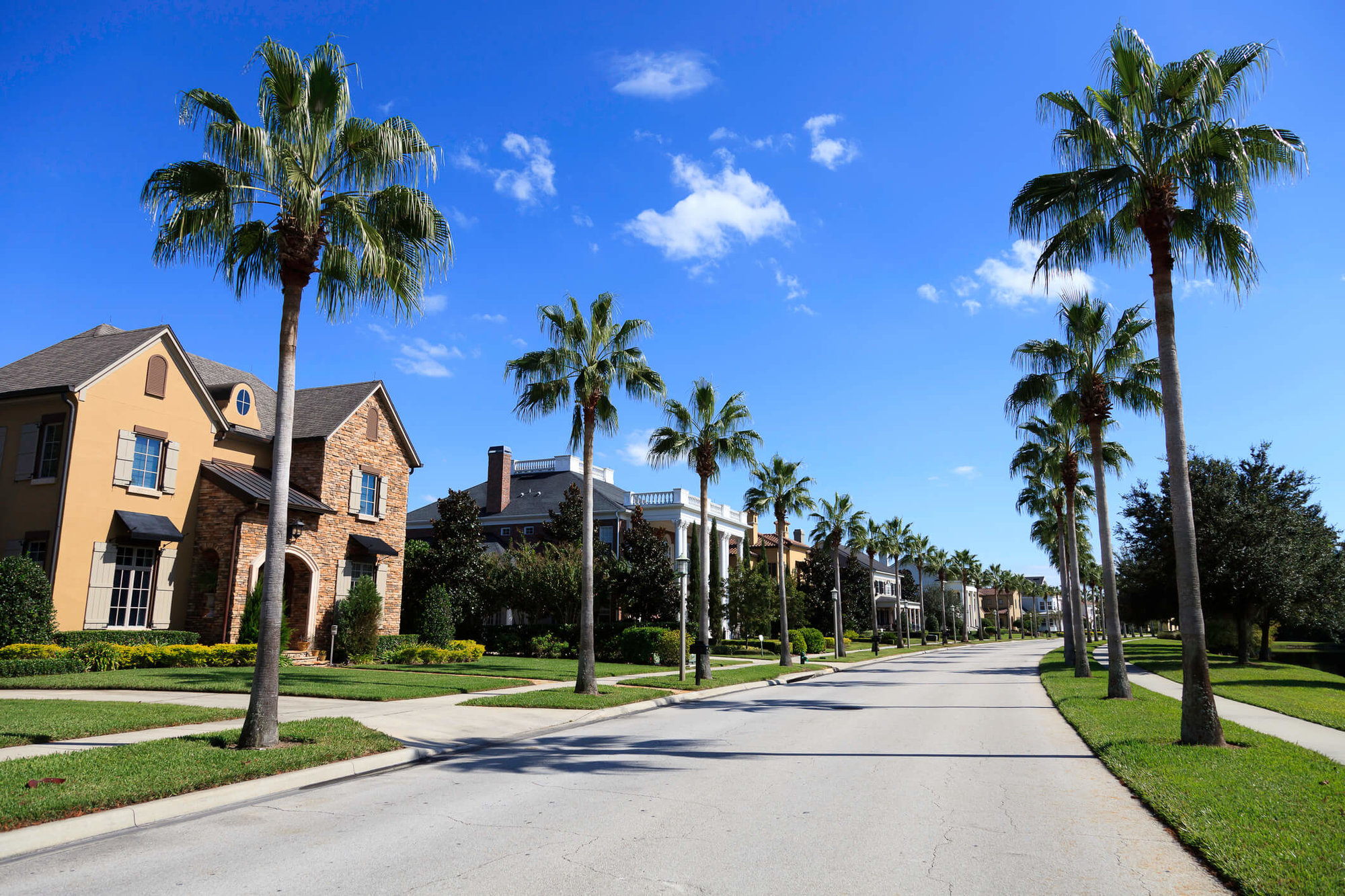 Trendy Neighborhoods