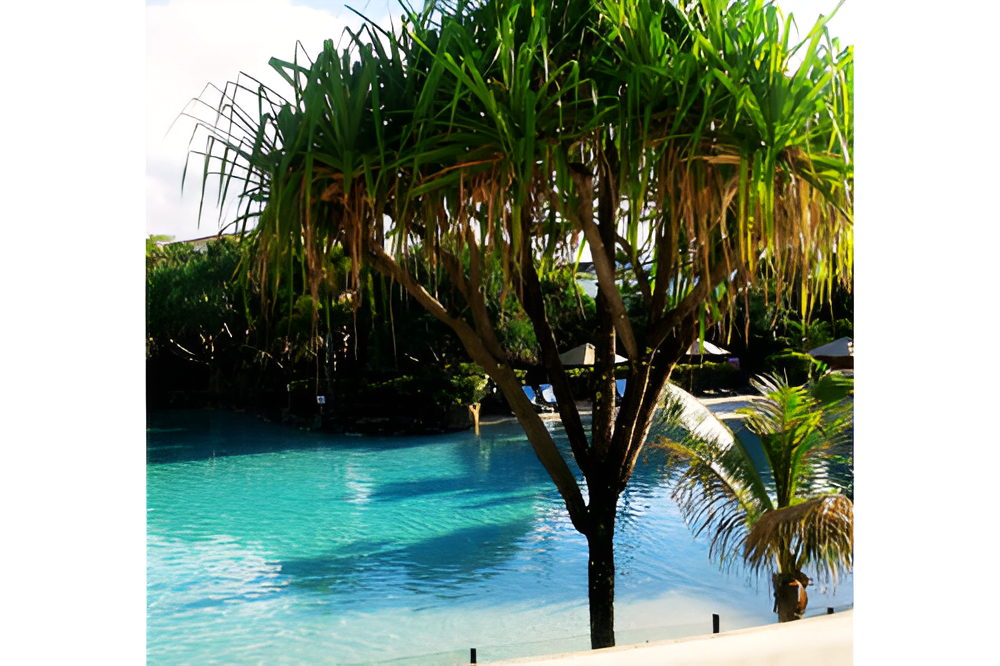 Gizmo’s Pool Care – 6-Month Pool Cleaning Service Package + Chemicals - Image 4