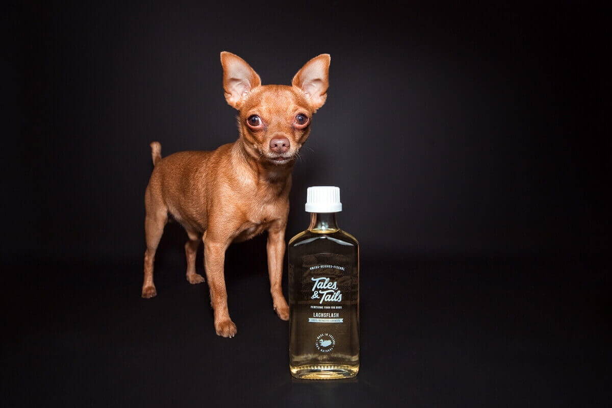 Hundebedarf Tales & Tails