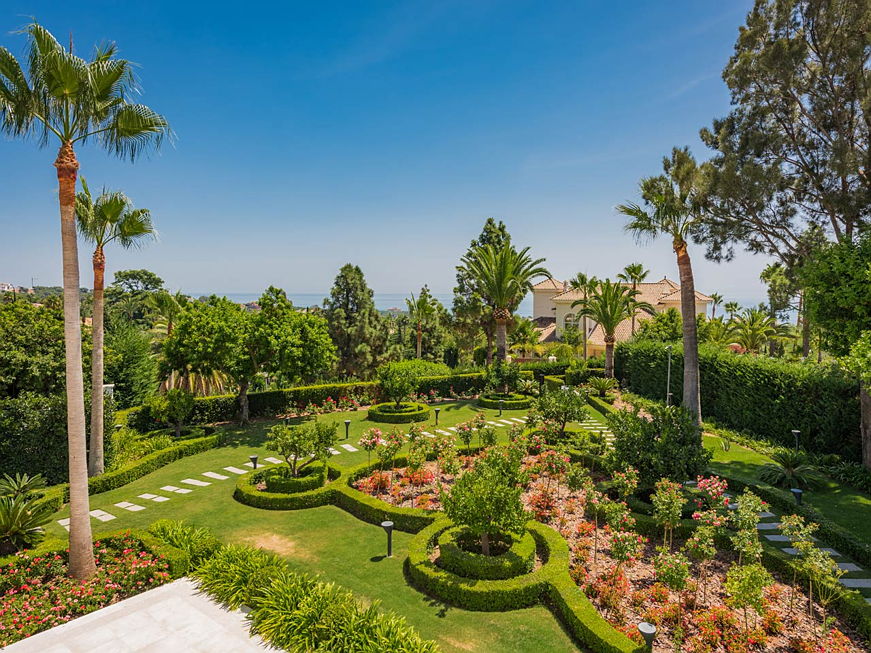 16 Alberi Ideali Per Piccoli Giardini Houzz