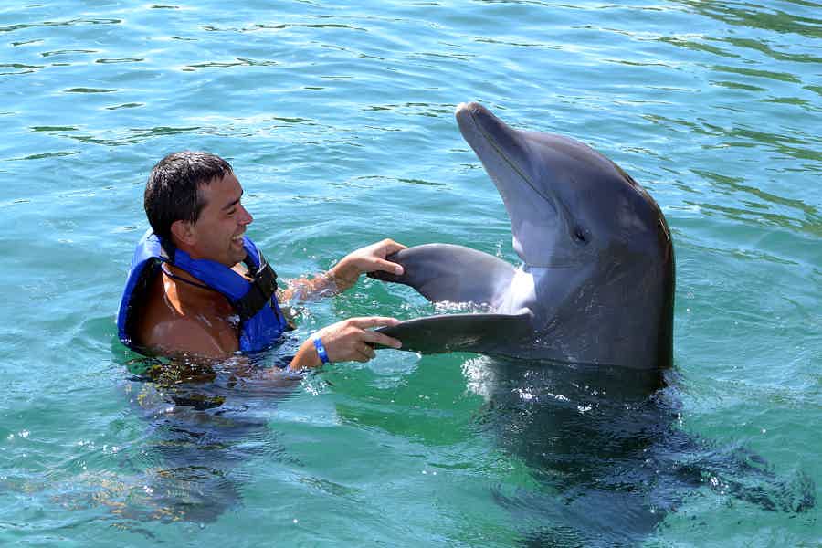 Swimming with dolphins in Antalya from Belek - photo 1