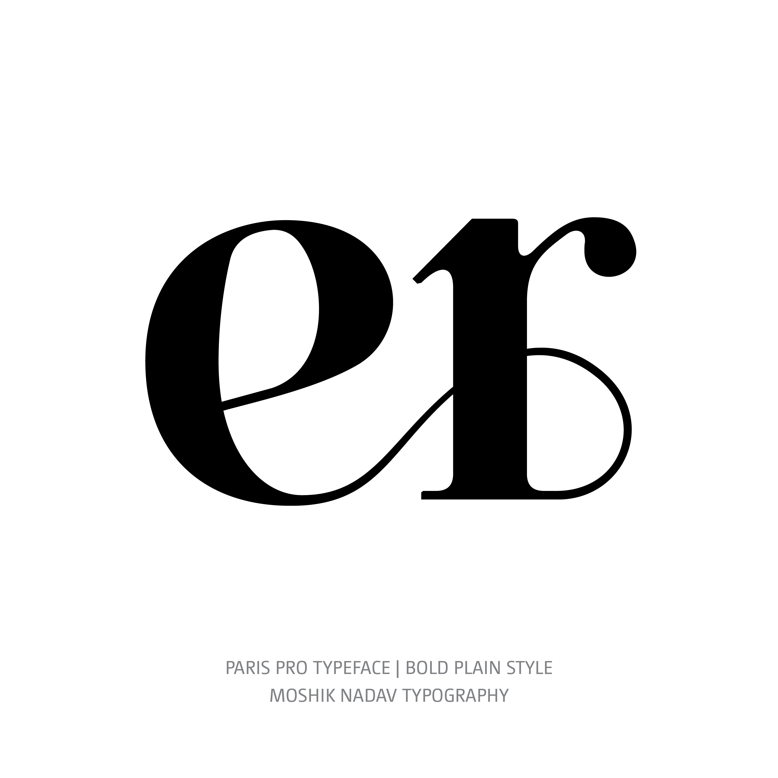 Paris Pro Typeface Bold er alternative ligature