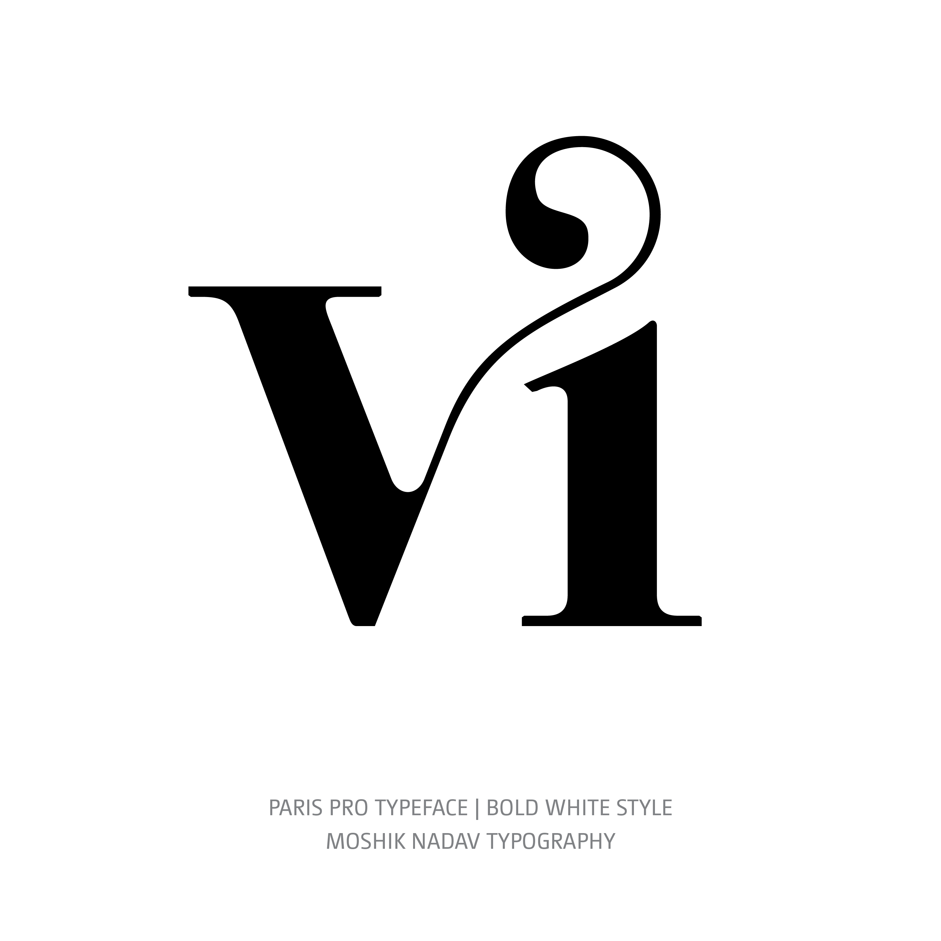 Paris Pro Typeface Bold White vi ligature