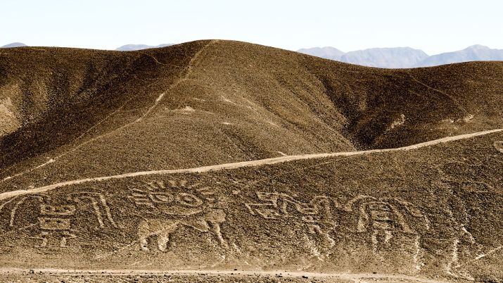 In 1994, UNESCO declared the Nazca Lines a World Heritage Site for their cultural importance