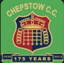 Chepstow cricket club logo