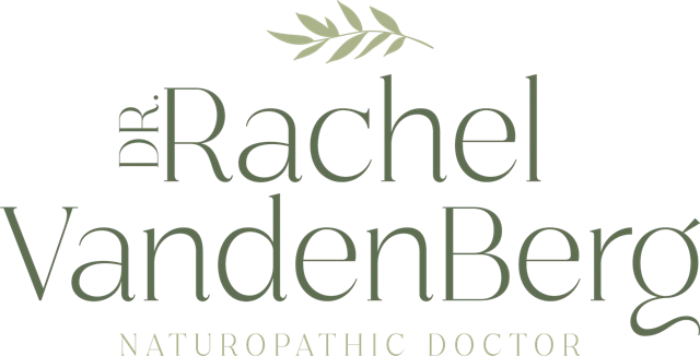 Logo for Dr. Rachel VandenBerg, Naturopathic Doctor, with a small olive branch graphic.