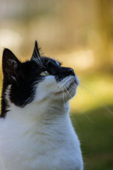 profile-6