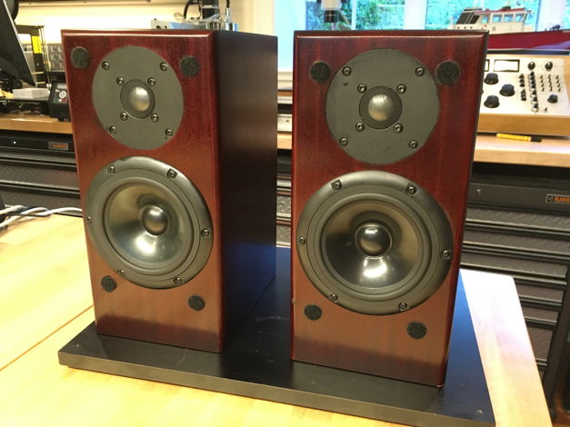 Totem Acoustic Rainmaker Speakers, Fully Tested