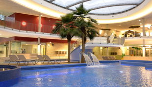 bg wonnemar backnang palmeninsel mit hochsteg